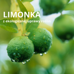 Olejek eteryczny Limonka BIO PURE 10 ml