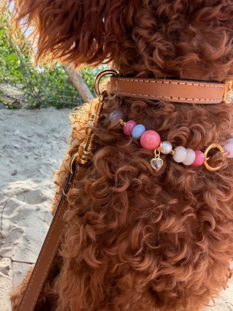 naszyjnik-dla-psa-candy-love-perly-kamienie