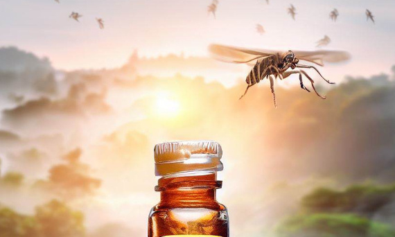 Naturalna ochrona przed owadami - wykorzystanie olejków eterycznych